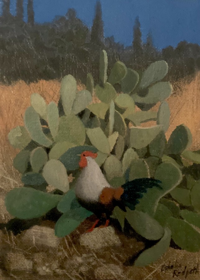 King of the prickly pear